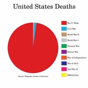 roe-v-wade-death-pie-chart (1)