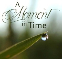 BookCoverImage for A moment in time
