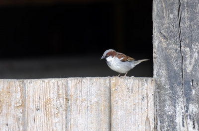 ID-100144966 (1).jpg