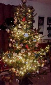 24852525_10215477430155882_3326722355540250083_n