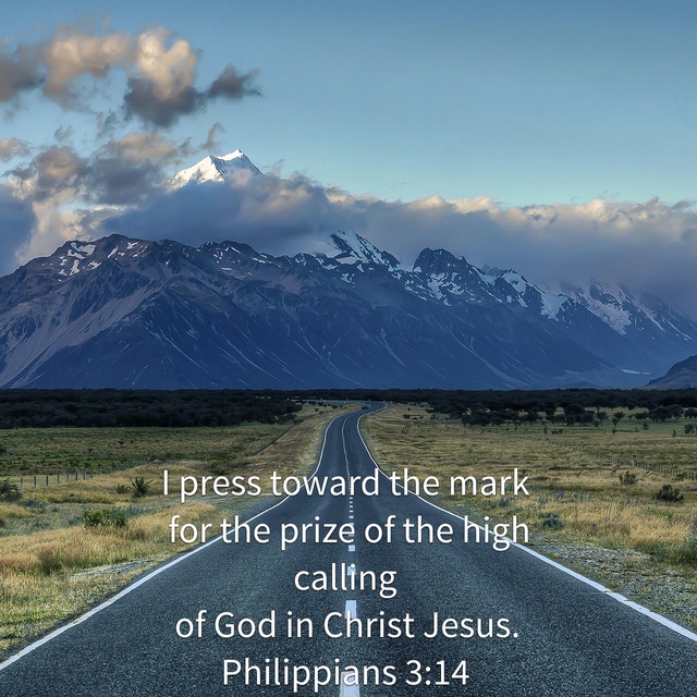 58265602-1533303821908