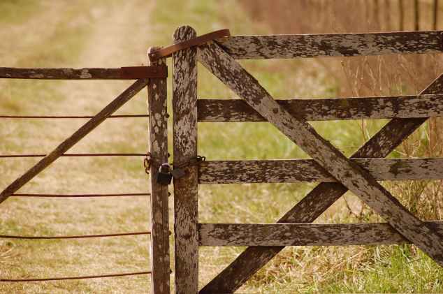barn blur close up countryside